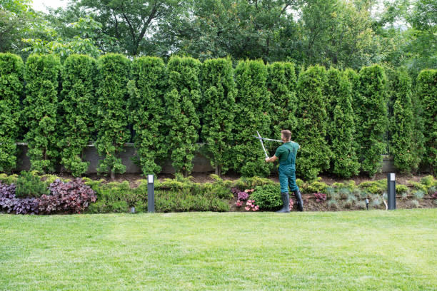 Best Lawn Irrigation Installation and Maintenance  in Munsey Park, NY